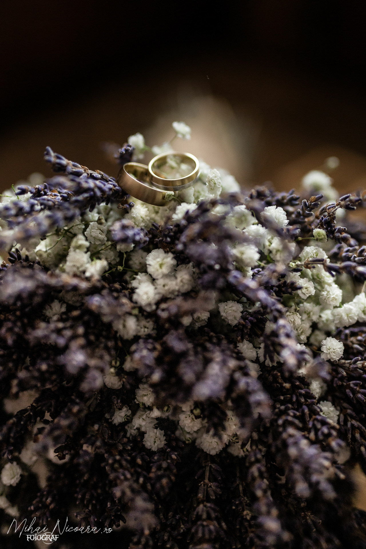 Fotografie album "Luiza & Iulian"