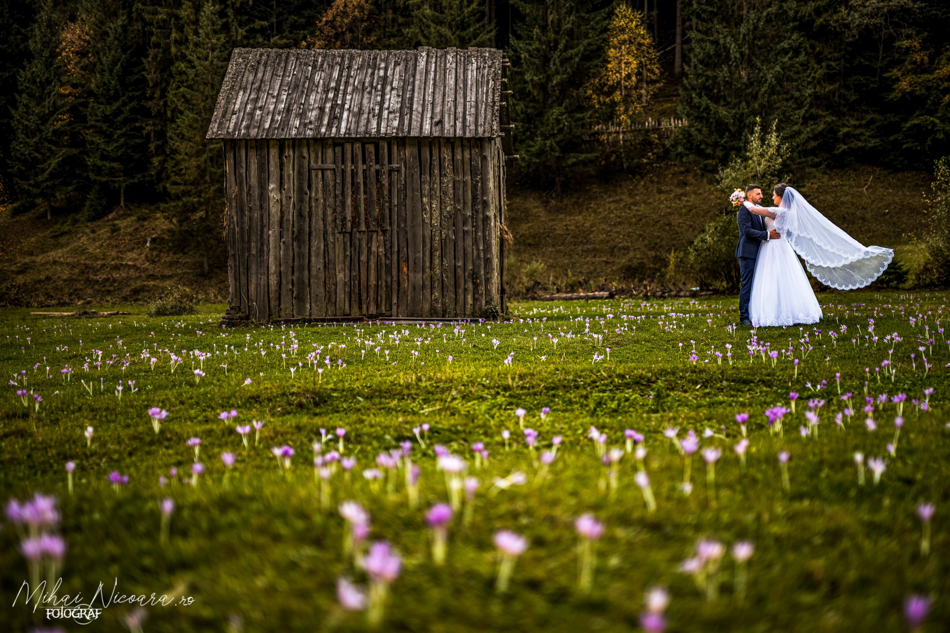 Fotografie album "Adriana & Ciprian"
