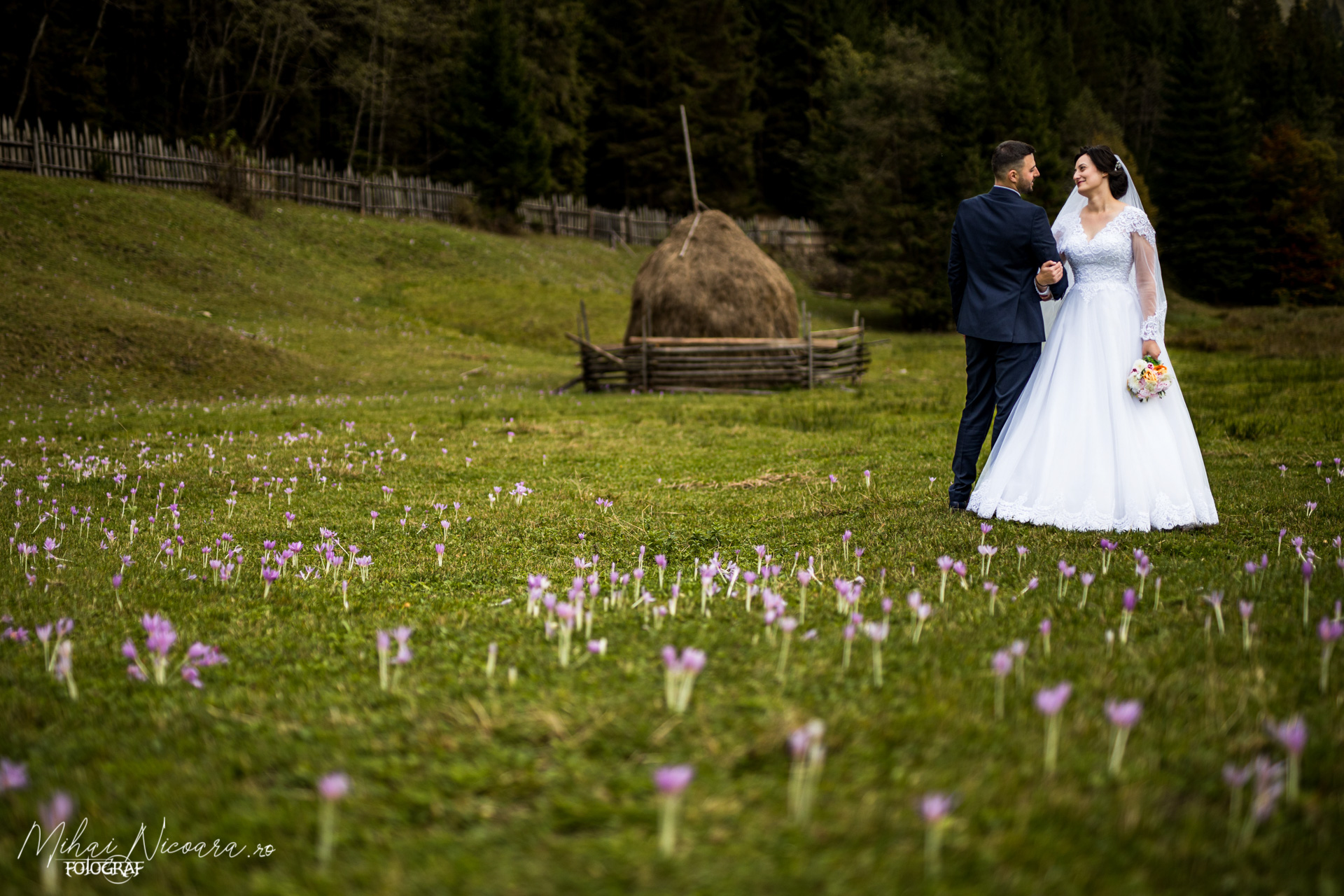 Fotografie album "Adriana & Ciprian"