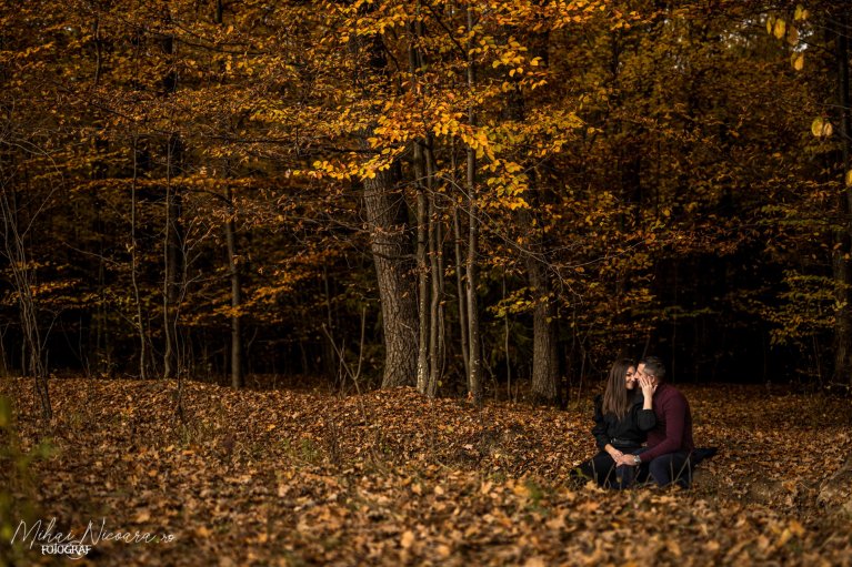 Fotografie album 'Diana & Ionut'