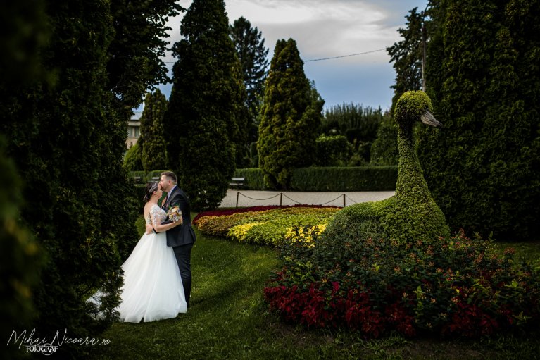 Fotografie album 'Dănuț & Marinela'