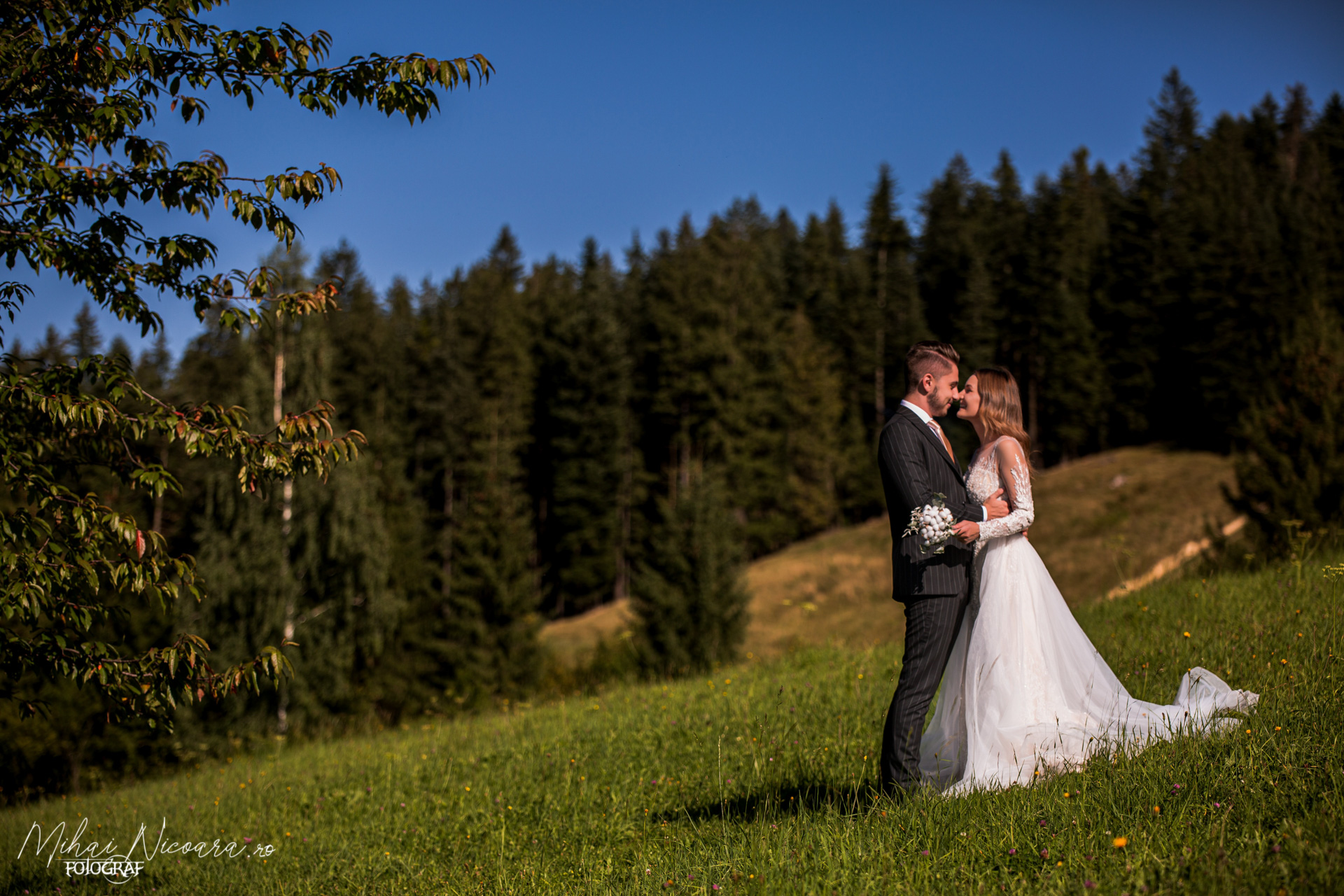 Fotografie album "Mihaela & Andrei"