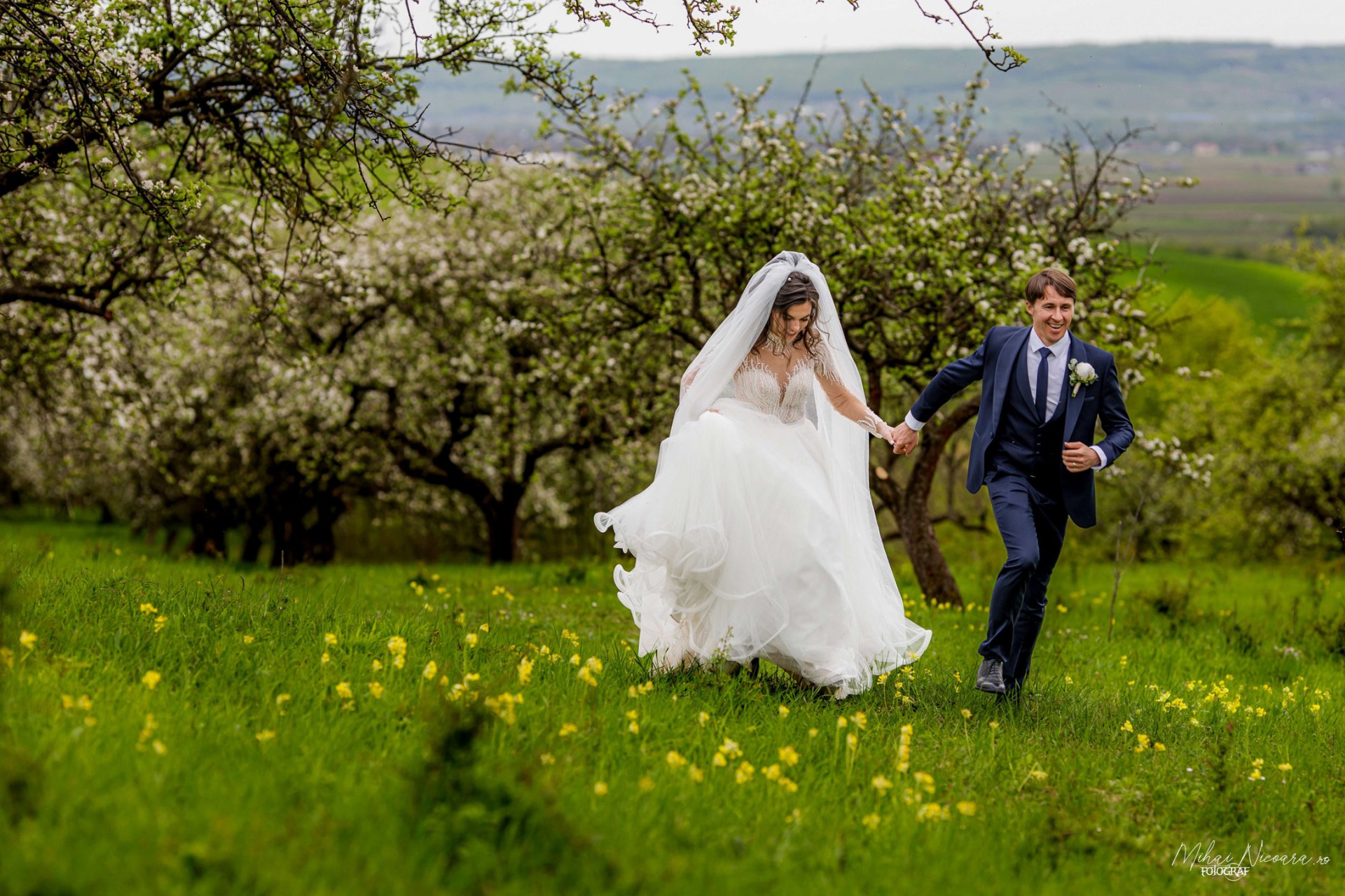Fotografie album "Ionela & Alexandru"