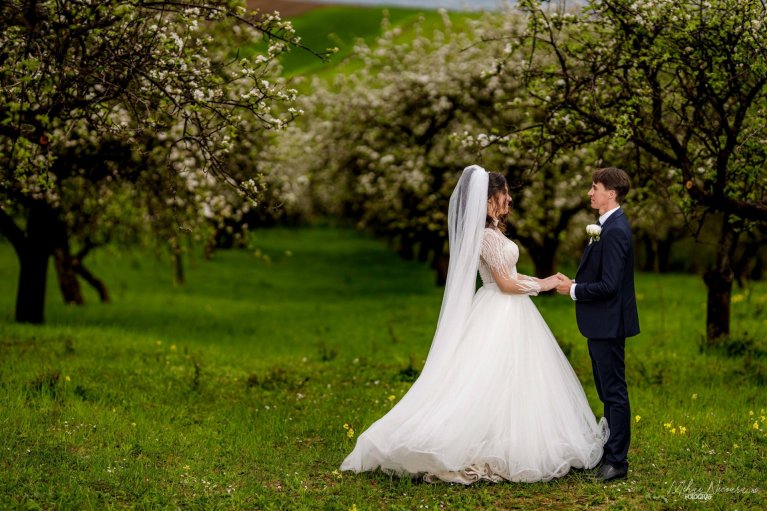 Fotografie album 'Ionela & Alexandru'