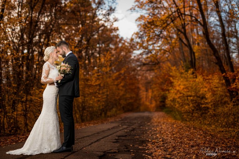 Fotografie album 'Denisa & Răzvan'