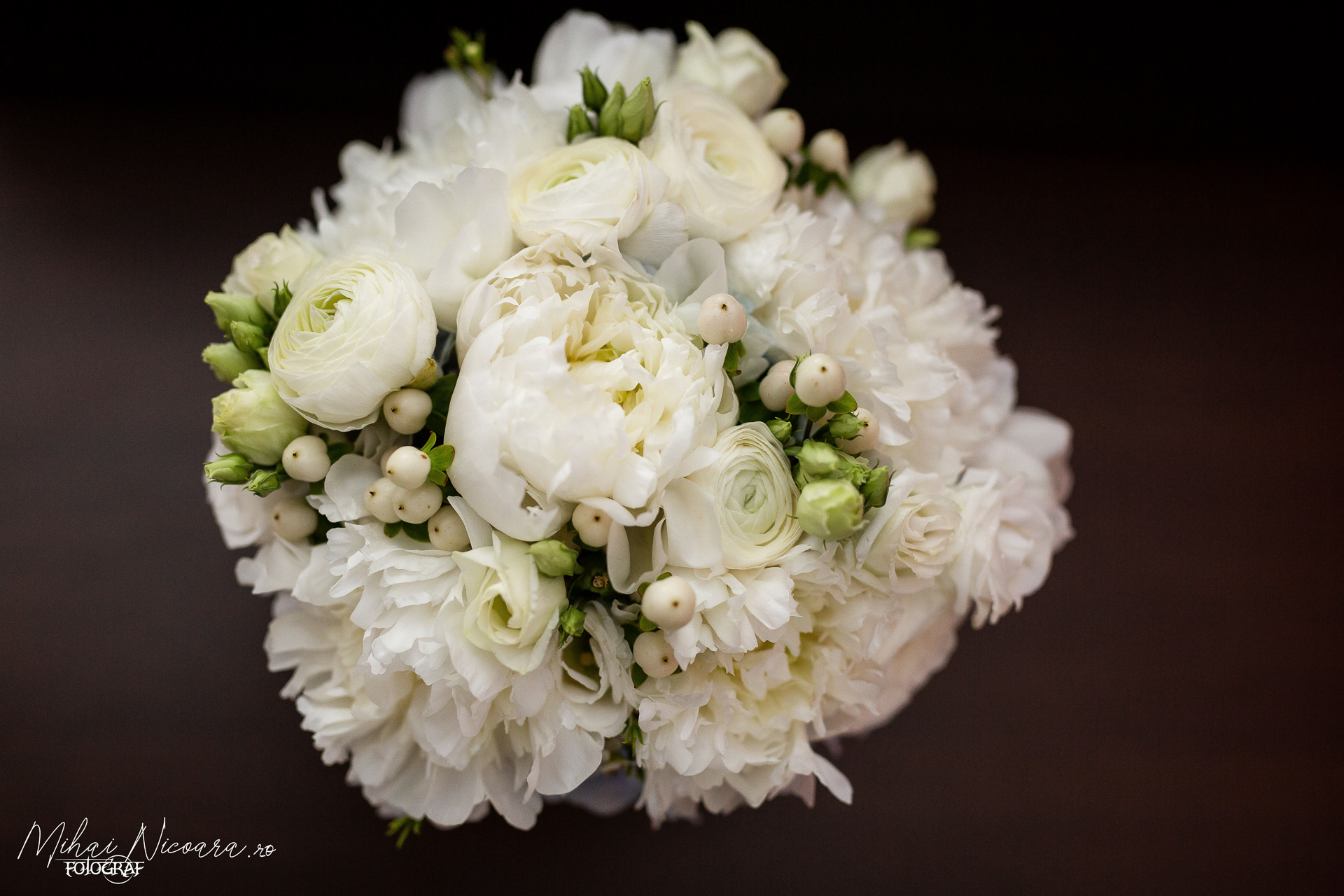 Fotografie album "Vlad & Alexandra"